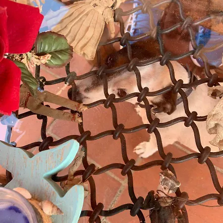 Il Vento E Il Mare Oda ve Kahvaltı