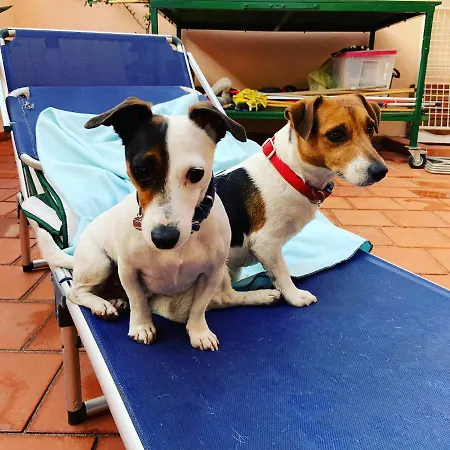 Il Vento E Il Mare Отель типа 