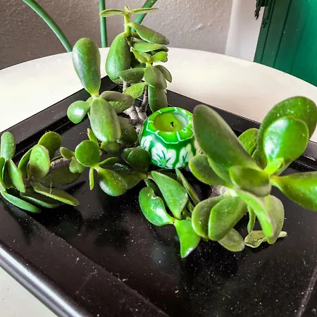 B&B Il Vento E Il Mare