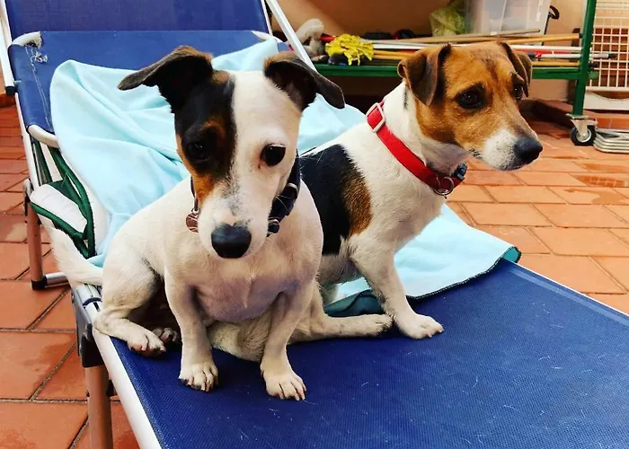 Il Vento E Il Mare Bed and breakfast *