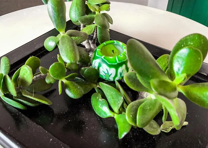 Bed and breakfast Il Vento E Il Mare