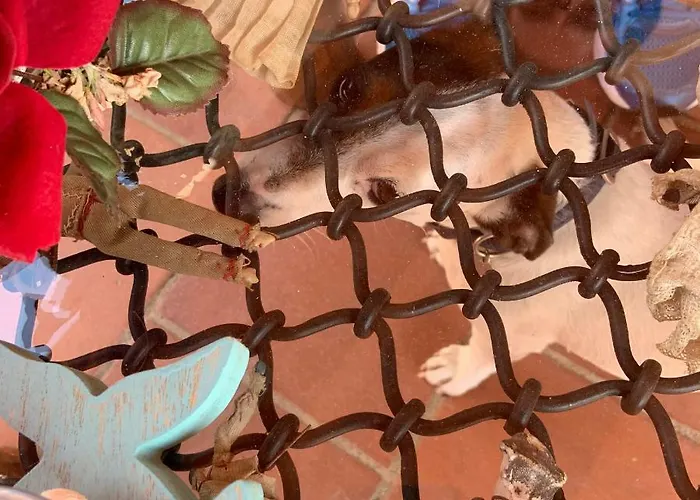 Il Vento E Il Mare Bed and breakfast